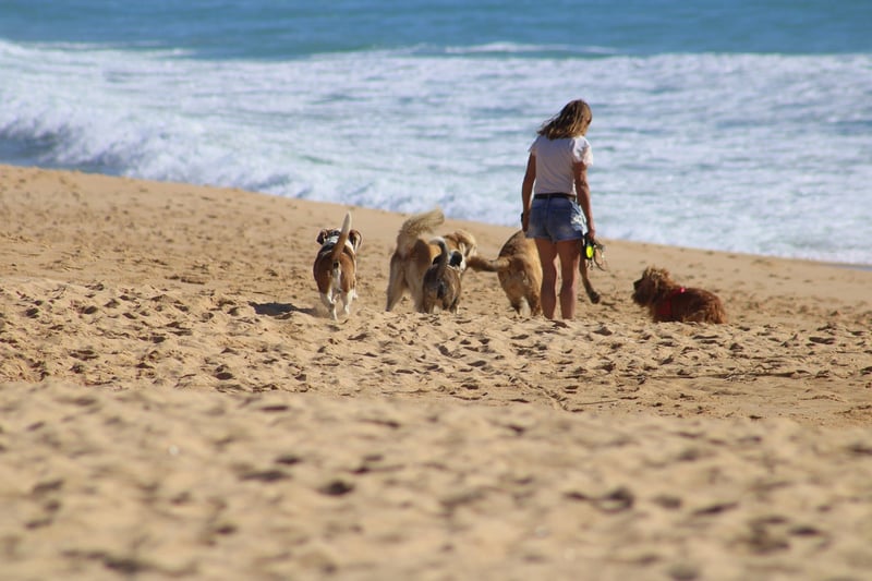 Mindful Walking